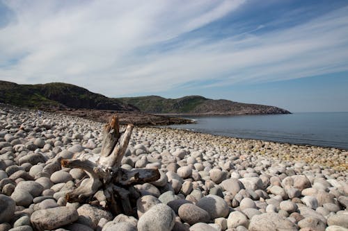 Ücretsiz çakıl Taşları, deniz kenarı, deniz manzarası içeren Ücretsiz stok fotoğraf Stok Fotoğraflar