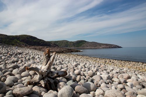 Photo of Rocky Shore During Daytime