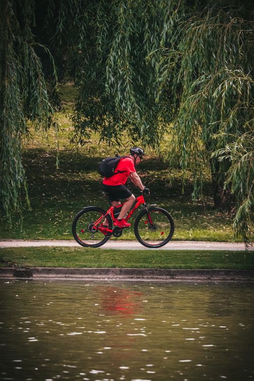 Free A man in red biking on a trail beside a river in a lush green park. Stock Photo
