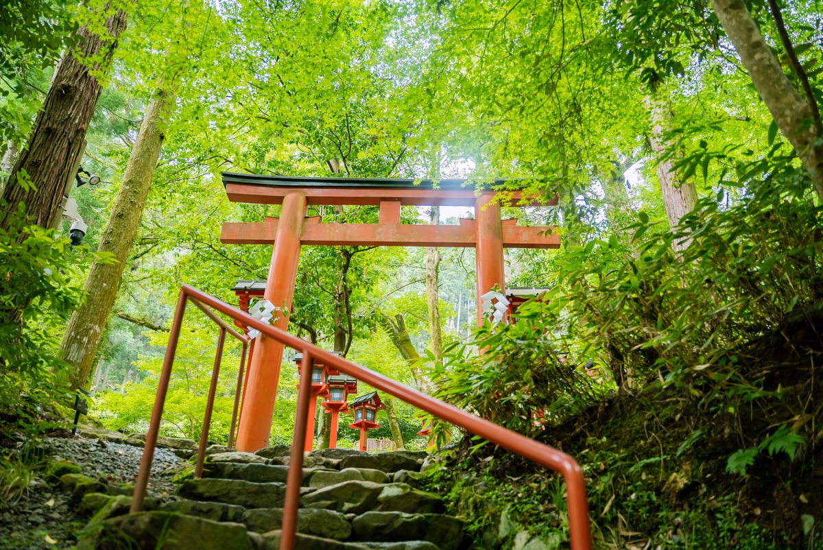 新緑の参道に立つ朱色の鳥居のイメージ