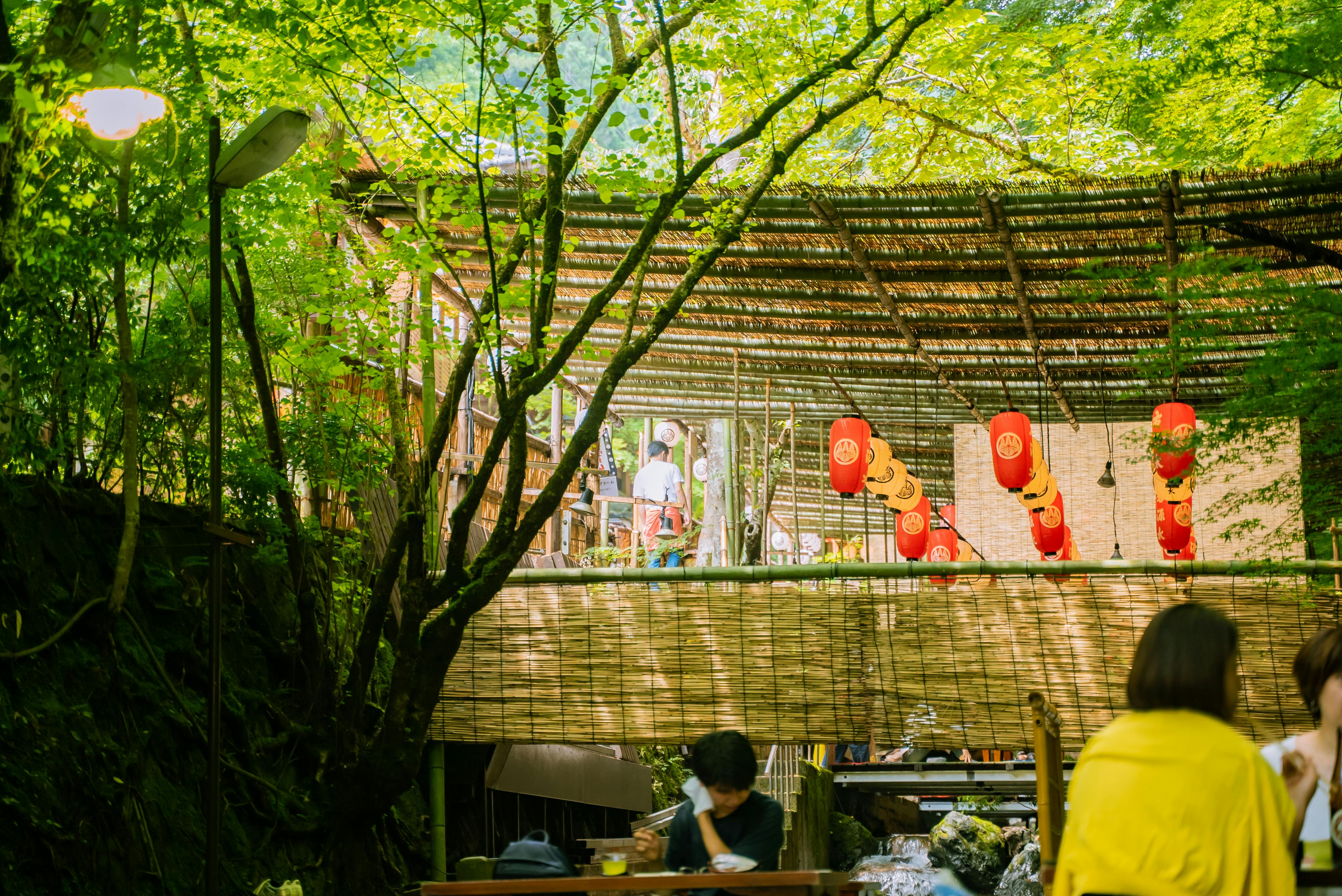 family recreational park dining experience