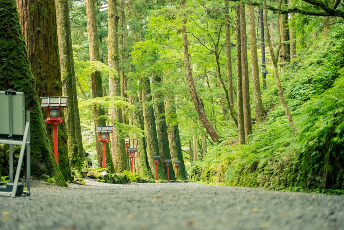 日本庭園の灯籠と緑のイメージ