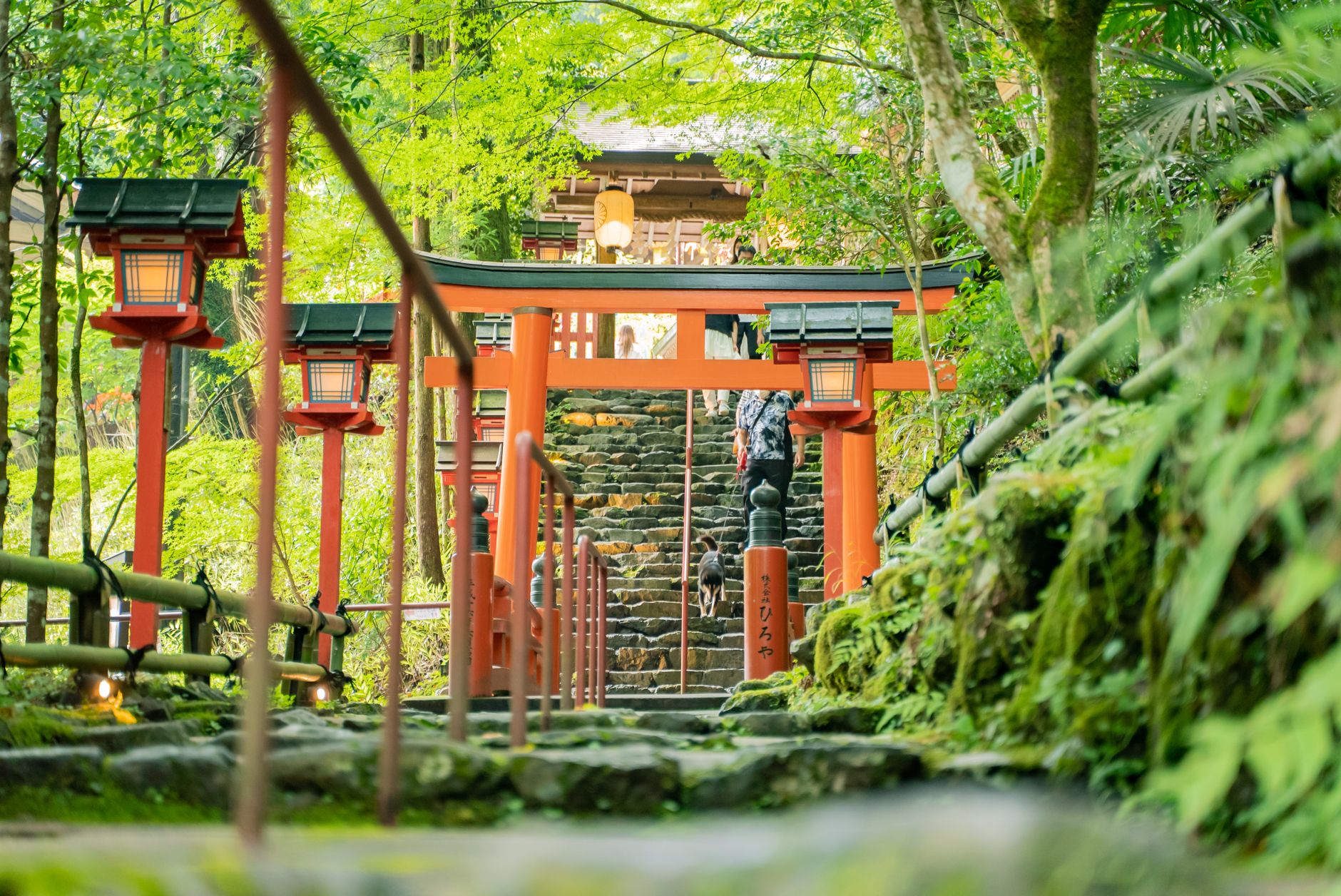 Kyoto, Japan