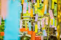 Vibrant papers with wishes hanging on bamboo, celebrating Japanese Tanabata festival outdoors.