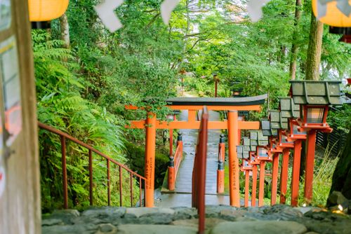 Free Explore the serene beauty of Kifune Shrine's torii gates and lanterns surrounded by lush greenery. Stock Photo