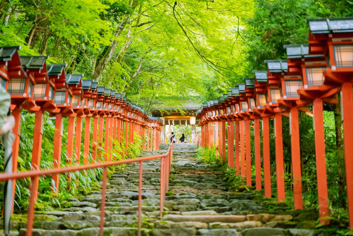 Stone steps bordered by lanterns and green trees leading up to a Japanese shrine