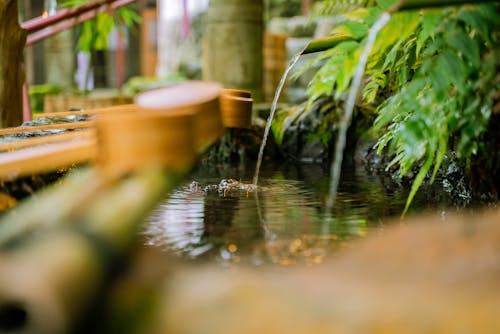 Water Flowing on the River