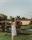 Brown Horse on Brown Field