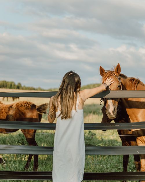 Free A woman in a white dress stands by a fence, touching a horse in a rural farm setting. Stock Photo