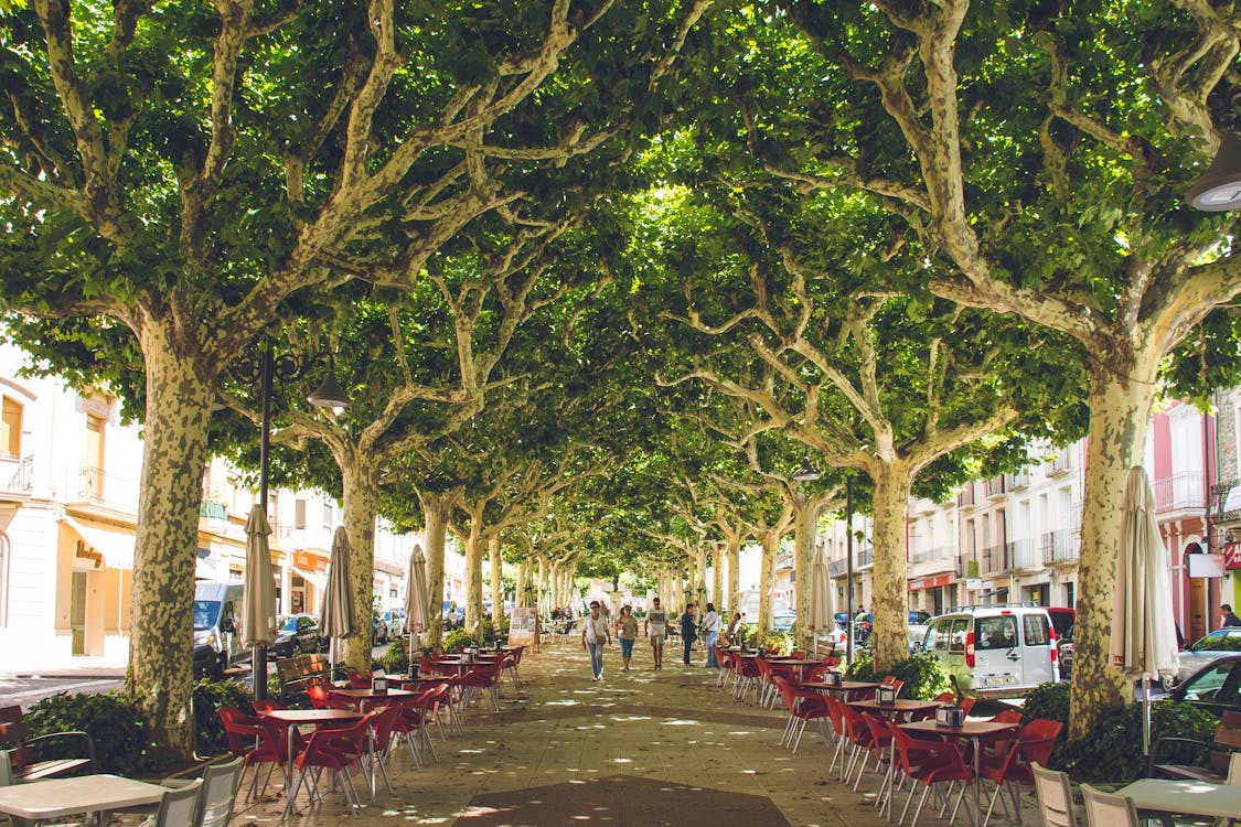 Red Wooden Table With Chairs on Street