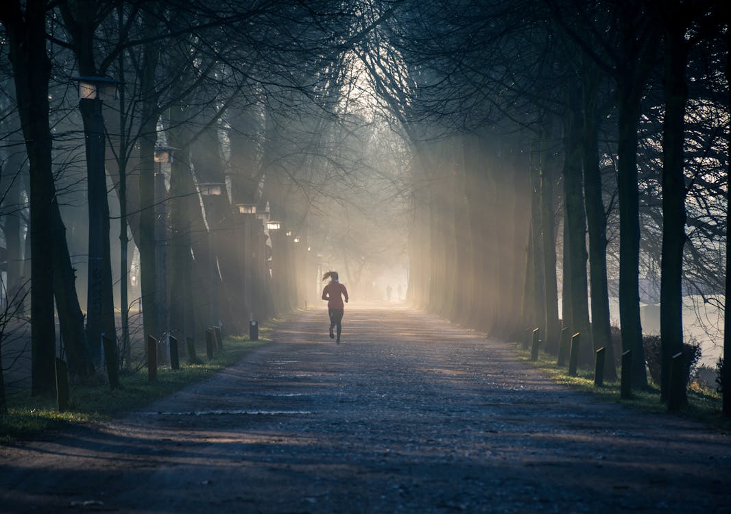 Free Person Running Near Street Between Tall Trees Stock Photo