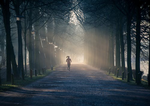 Person Running Near Street Between Tall Trees