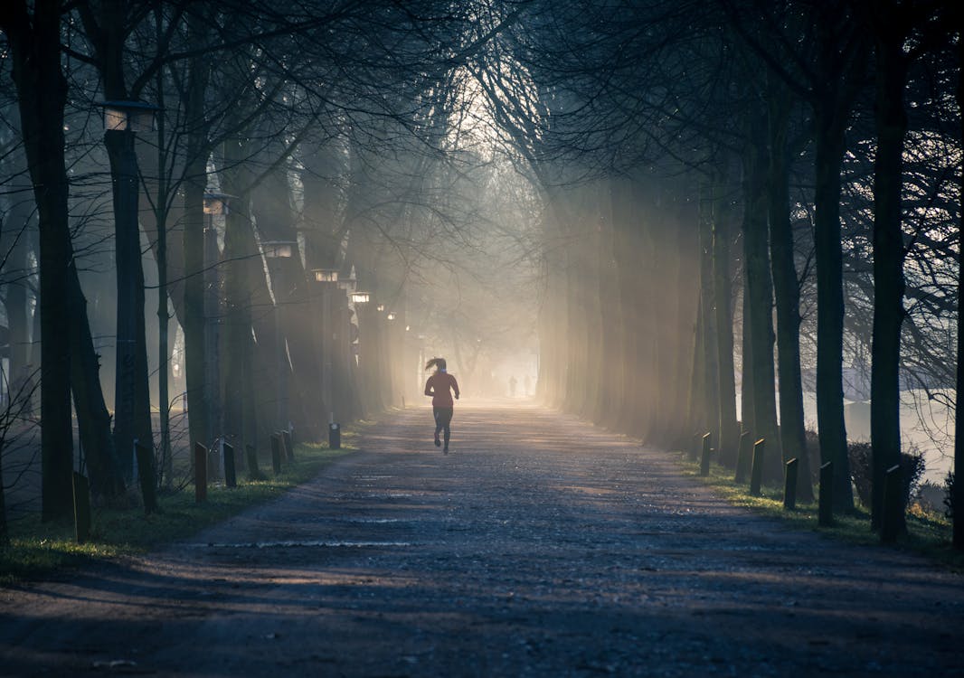 Persoon Loopt In De Buurt Van Straat Tussen Hoge Bomen