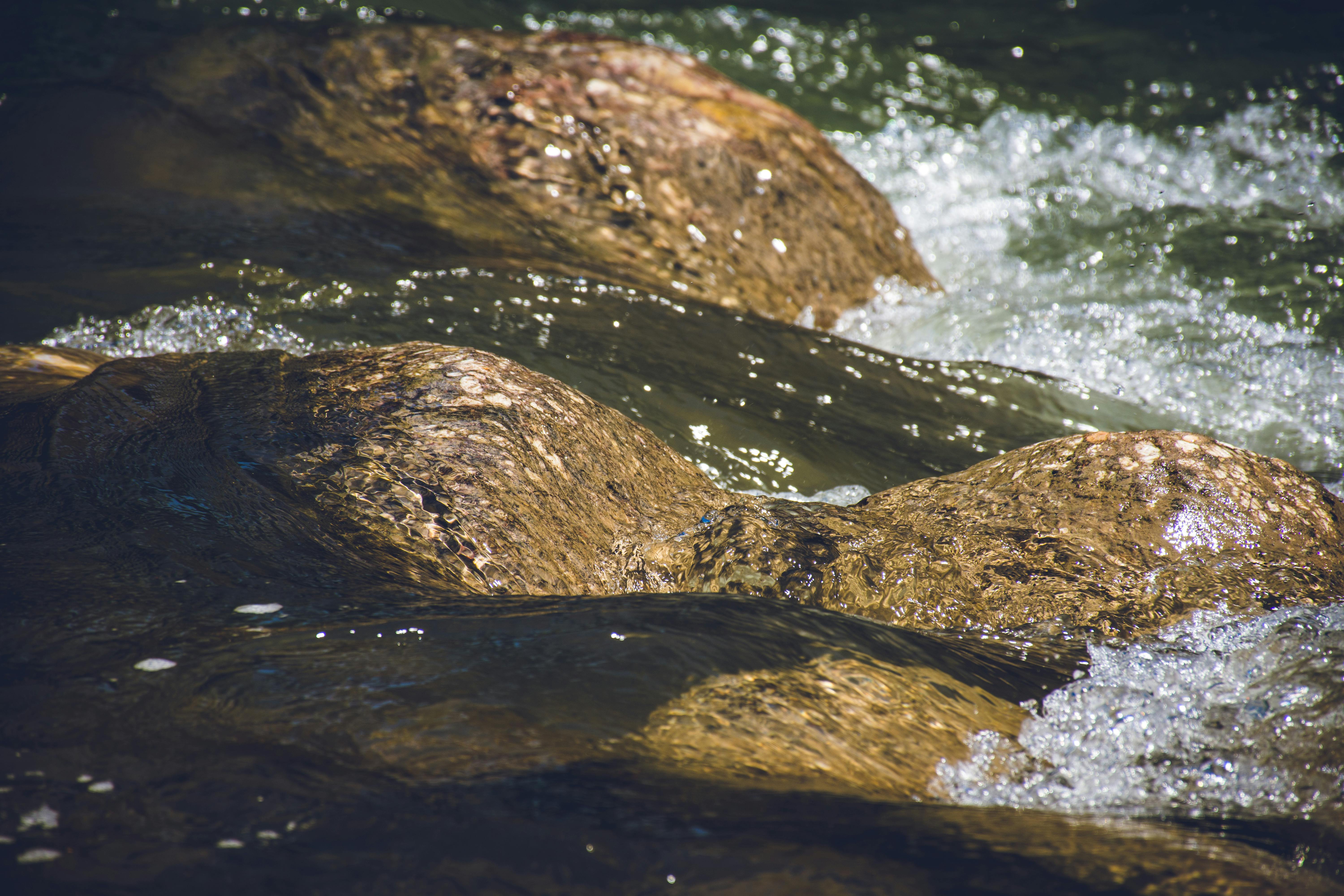 river stream