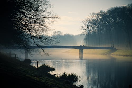 Free Gray Bridge Above River during Dusk Stock Photo