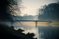 河边的桥上，一个雾蒙蒙的早晨宁静而安详，四周树木环绕，雾气弥漫