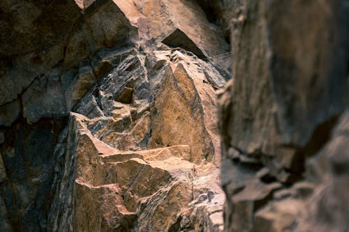 무료 클로즈업 사진 갈색 갈색 암석 스톡 사진