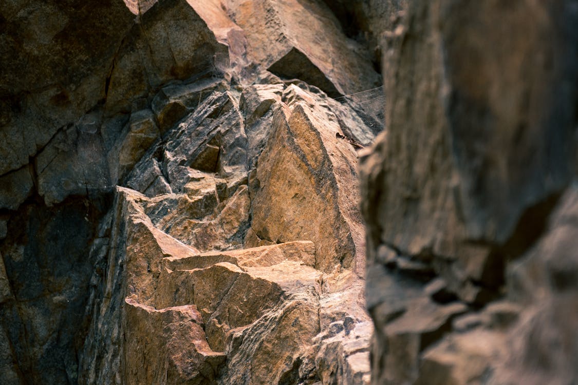 클로즈업 사진 갈색 갈색 암석