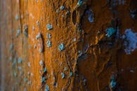 这张粗糙的铁锈表面特写，点缀着蓝绿色地衣斑块，捕捉了自然腐朽的痕迹