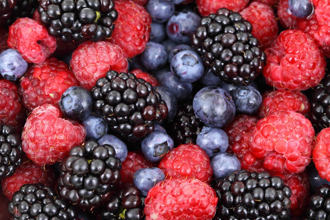 Gratis stockfoto met besjes, blackberries, blauwe bessen Stockfoto