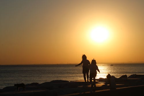 Photos gratuites de côte, coucher de soleil, enfants