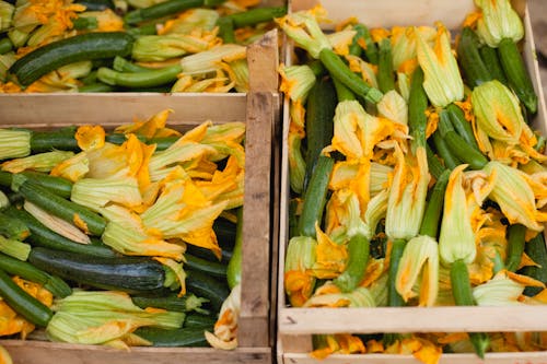 Free Fresh Zucchini and Squash Blossoms on a Wooden Crate Box Stock Photo