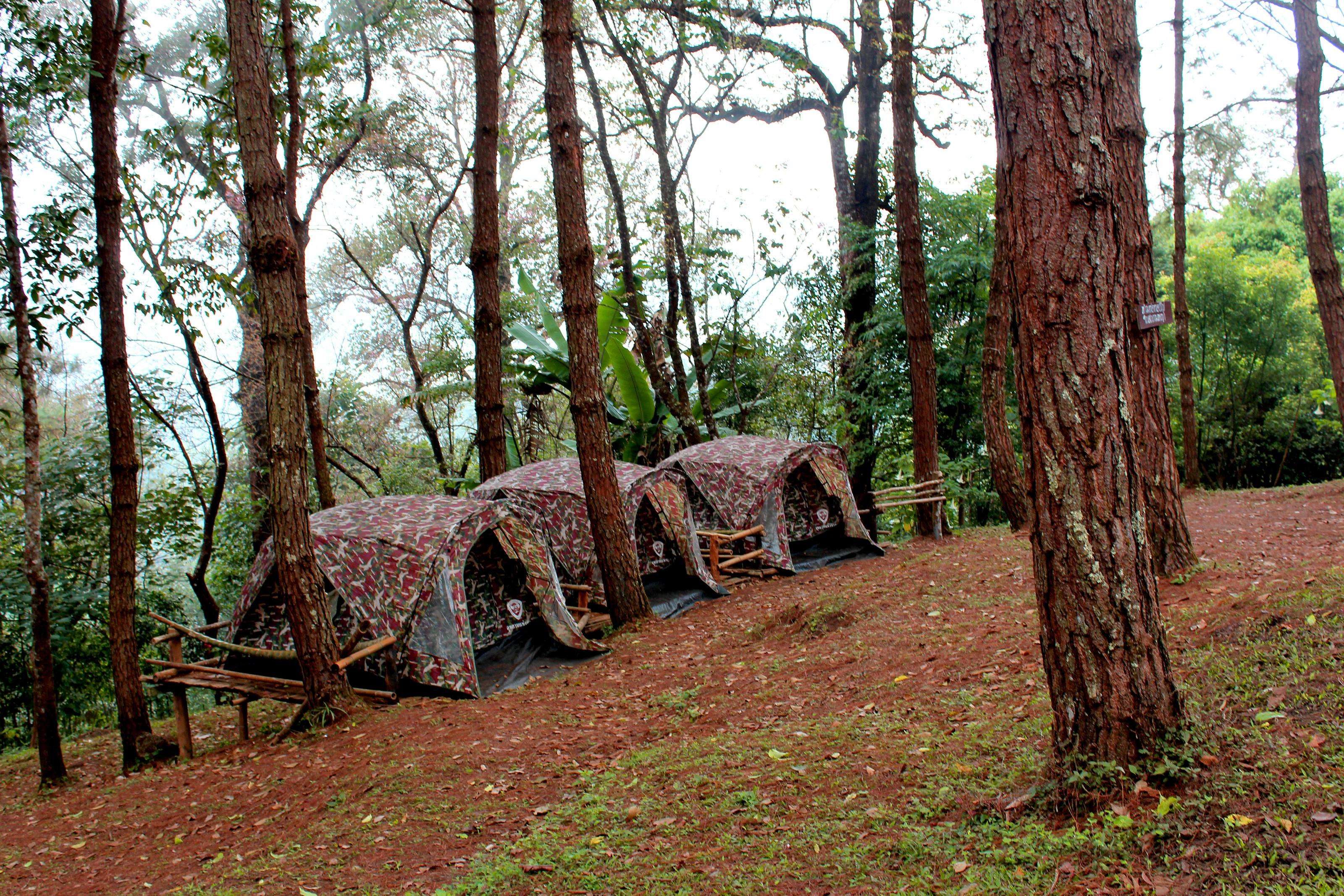 Tempat Camping Terbaik di Indonesia: Panduan Lengkap untuk Petualangan Alam