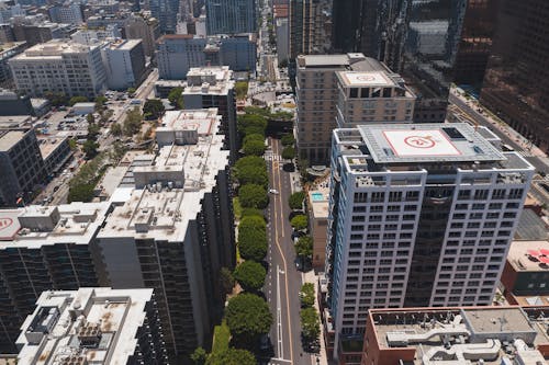 
An Aerial Shot of Buildings in a City