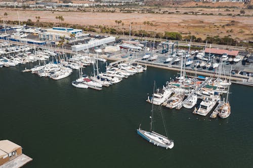 Aerial Shot of Sea and Harbor