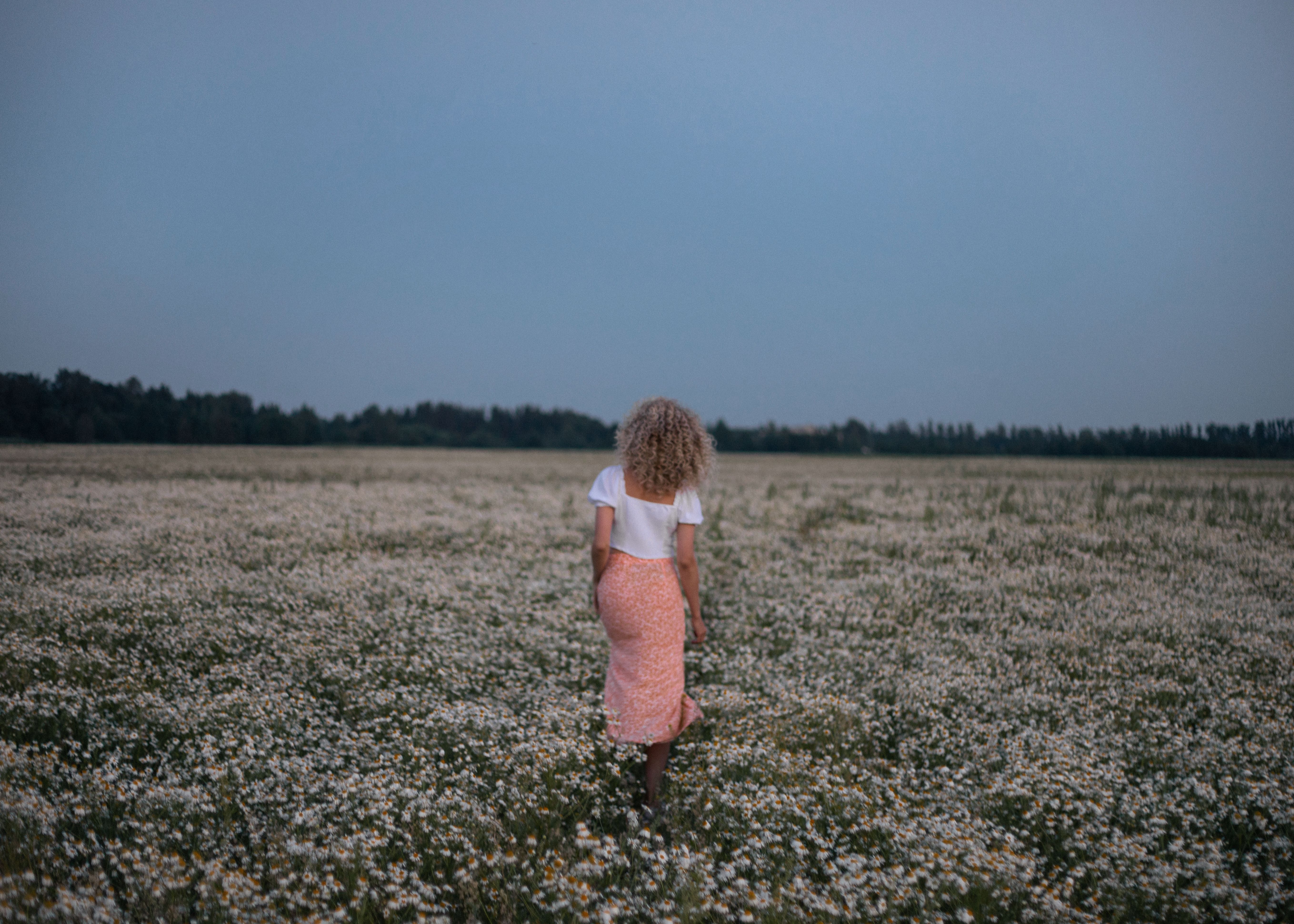 Back View of a Woman Walking on a Flower Field · Free Stock Photo