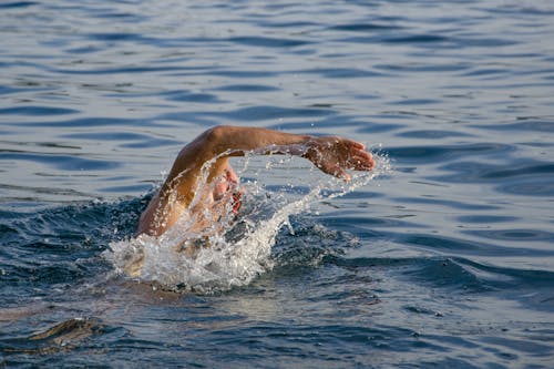 자유형 스트로크를하는 물 몸에서 수영하는 사람