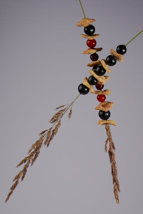 Free Artistic display of berries and cornflakes skewered on grass stems against a gray backdrop. Stock Photo