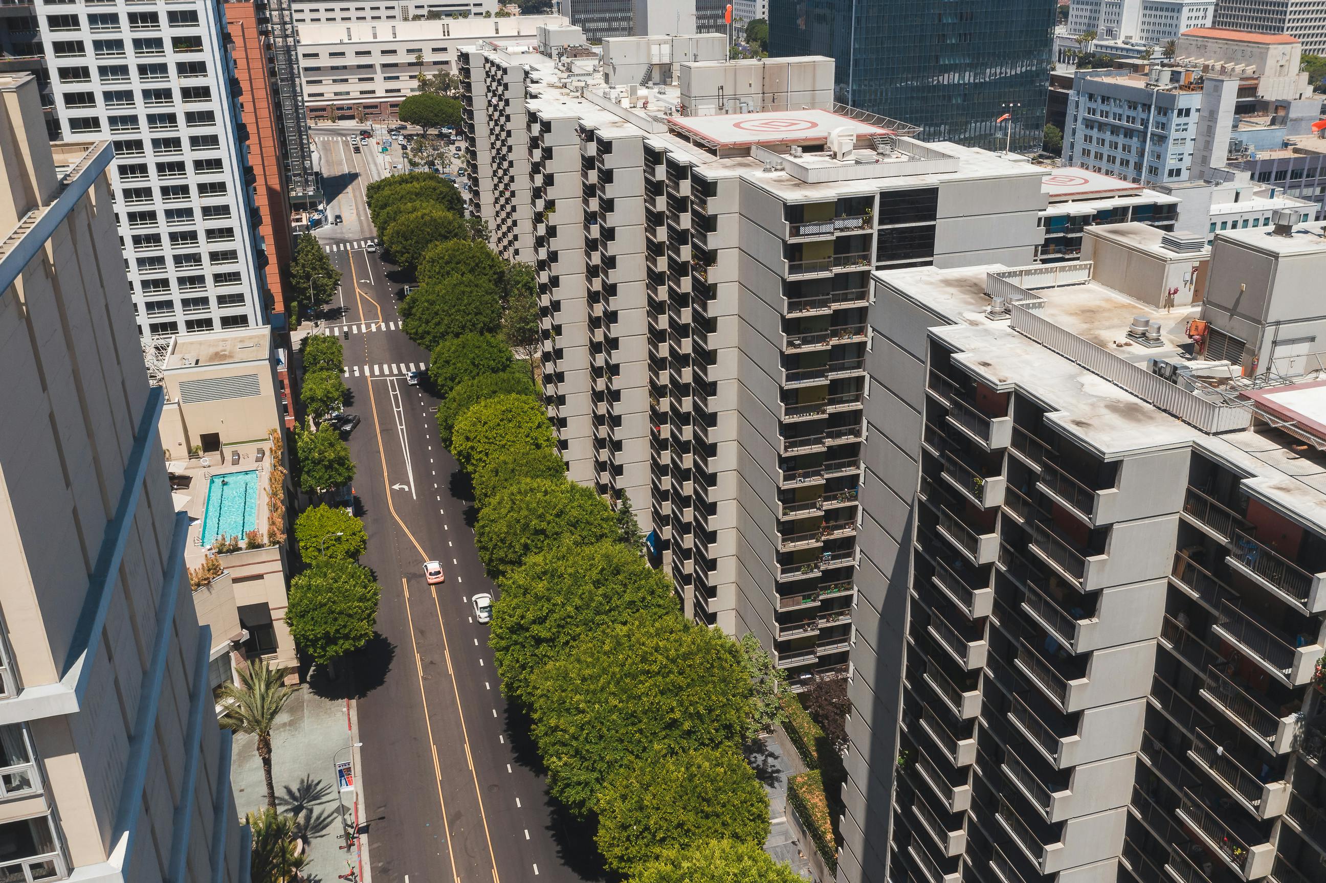 city montage of apartments with hardwood floors in various cities - apartments with hardwood floors