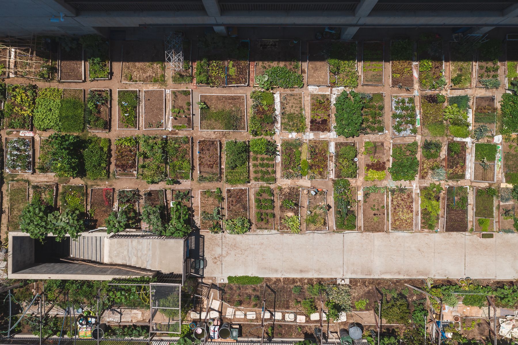 Groene buurttuin van bovenaf met moestuinvakken en wandelpaden
