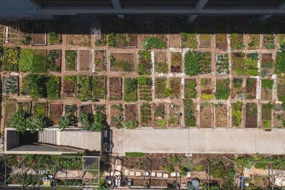Aerial view of a structured community garden with defined beds and paths
