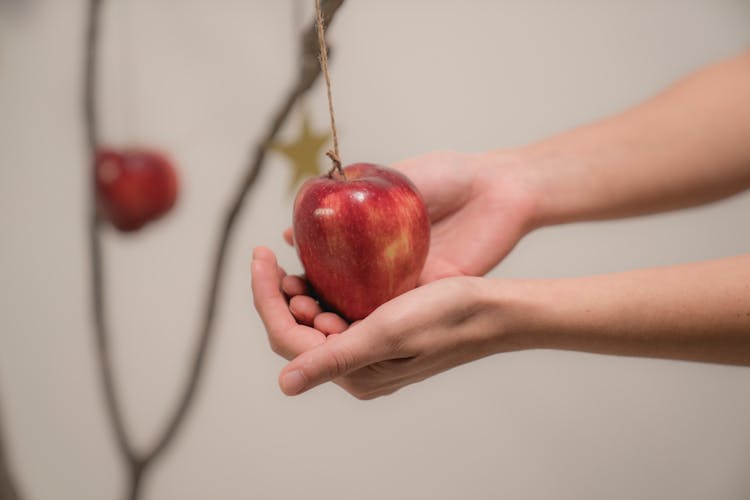 Person Holding Red Apple Fruit