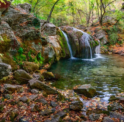 Water Falls in the Middle of the Forest