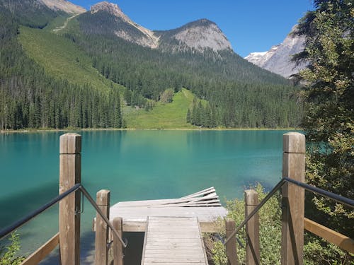 Brown Wooden Dock on Lake