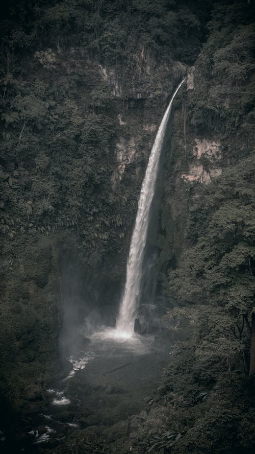 Waterfalls in the Middle of Forest