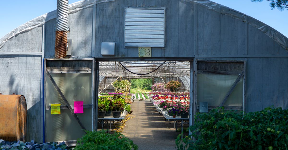 Greenhouse Entry Ramp Greenhouse Entrance and Variety of Plants · Free Stock Photo
