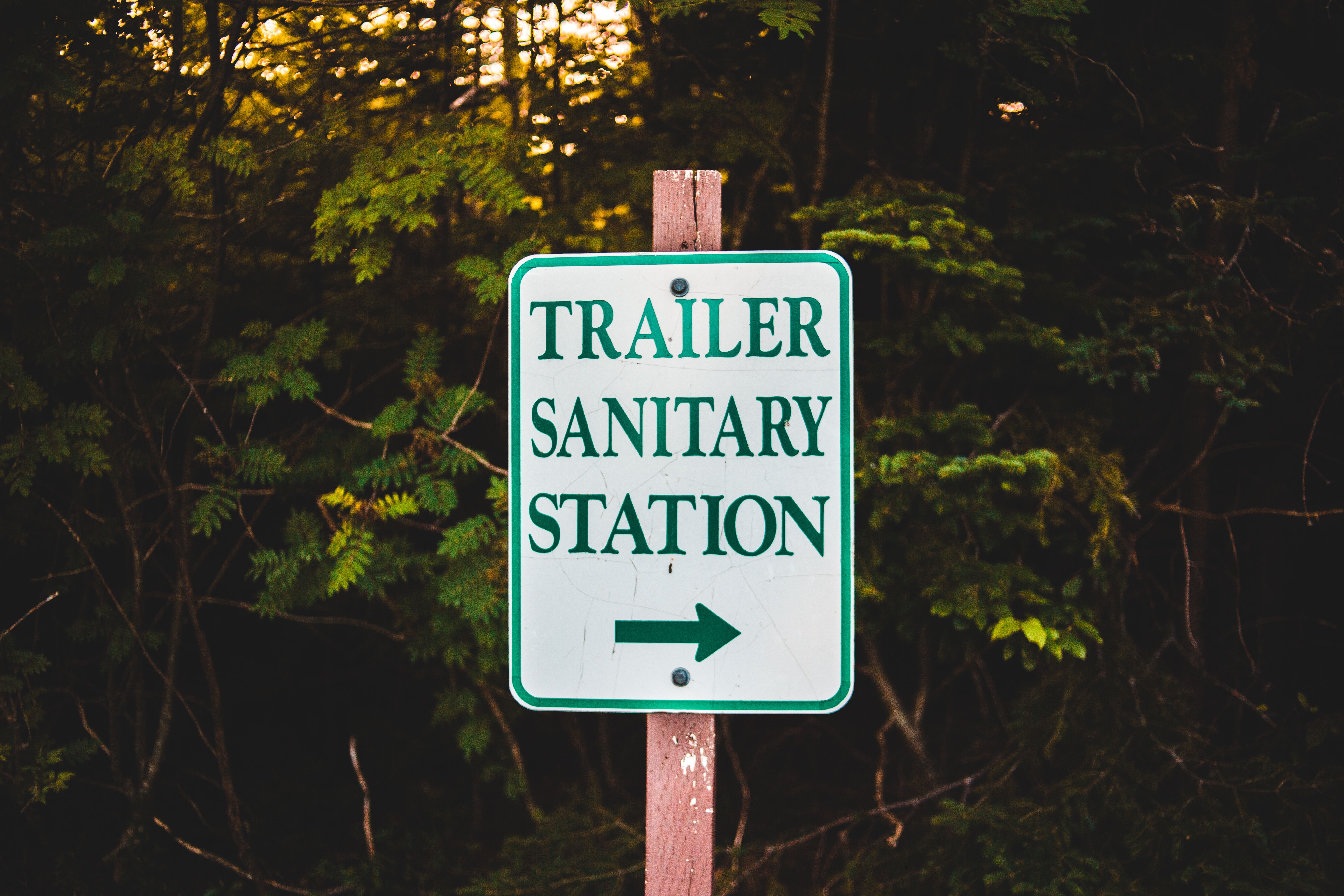 How to Manage RV Black and Gray Tanks Like a Pro