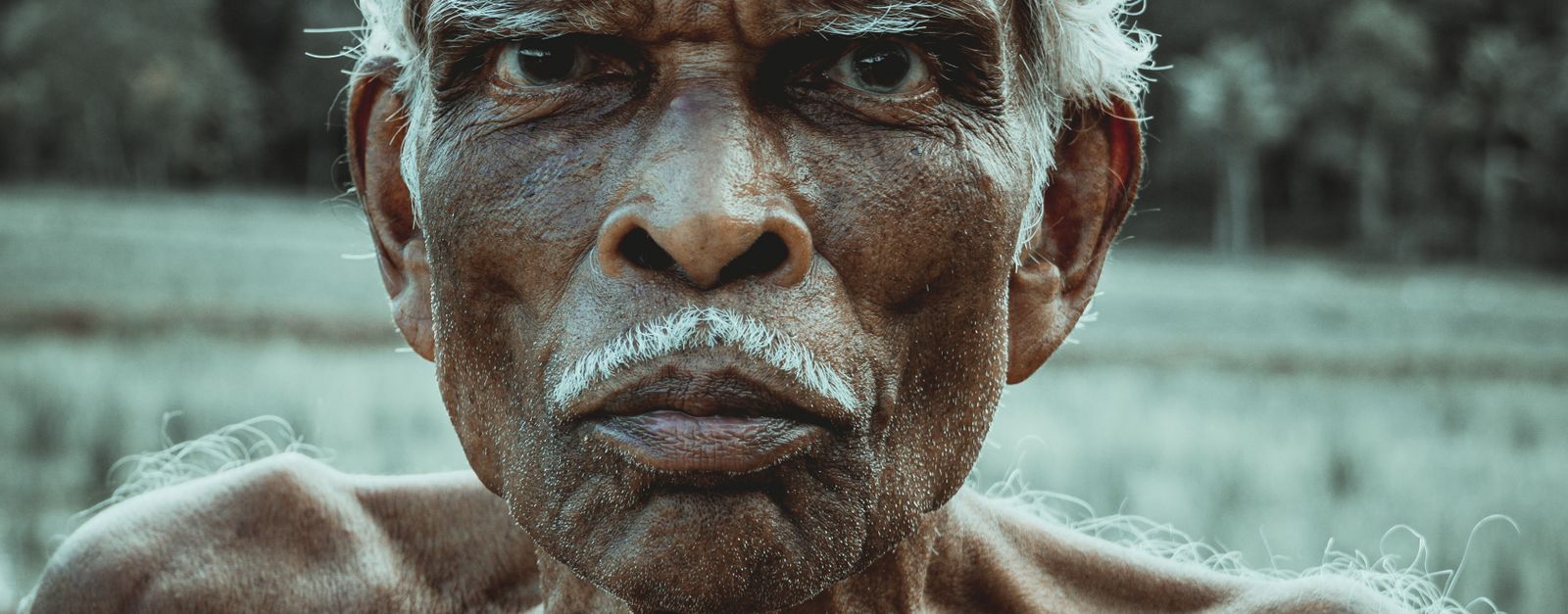 Close-up portrait of an elderly man with a strong expression against a natural background.