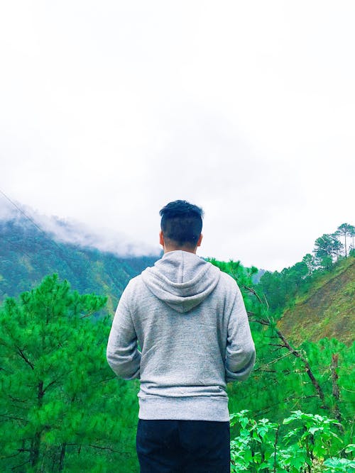 Free stock photo of back view, clouds, trees