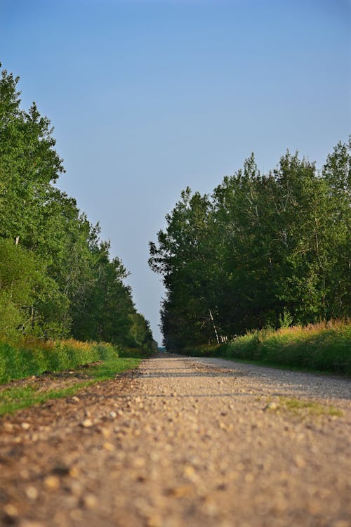 Free stock photo of dirt road, path, pathway