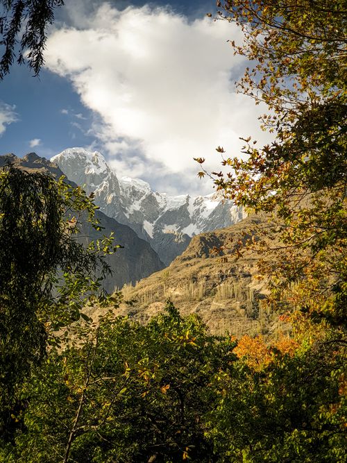 Free A breathtaking view of snow-capped mountains framed by lush green foliage. Stock Photo