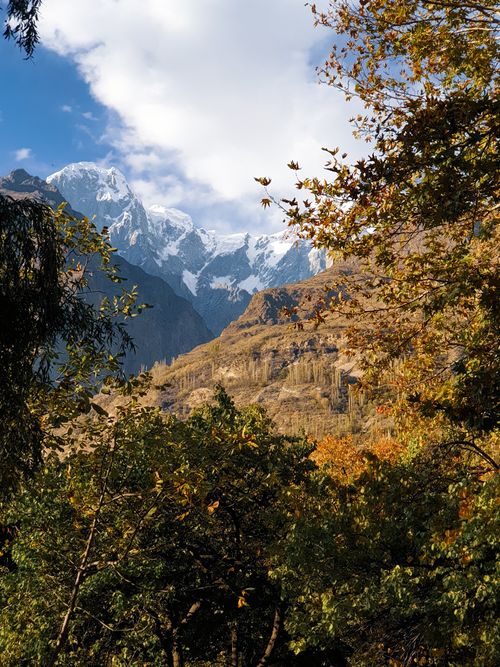 Free Stunning mountains framed by autumn foliage under a bright blue sky. Stock Photo