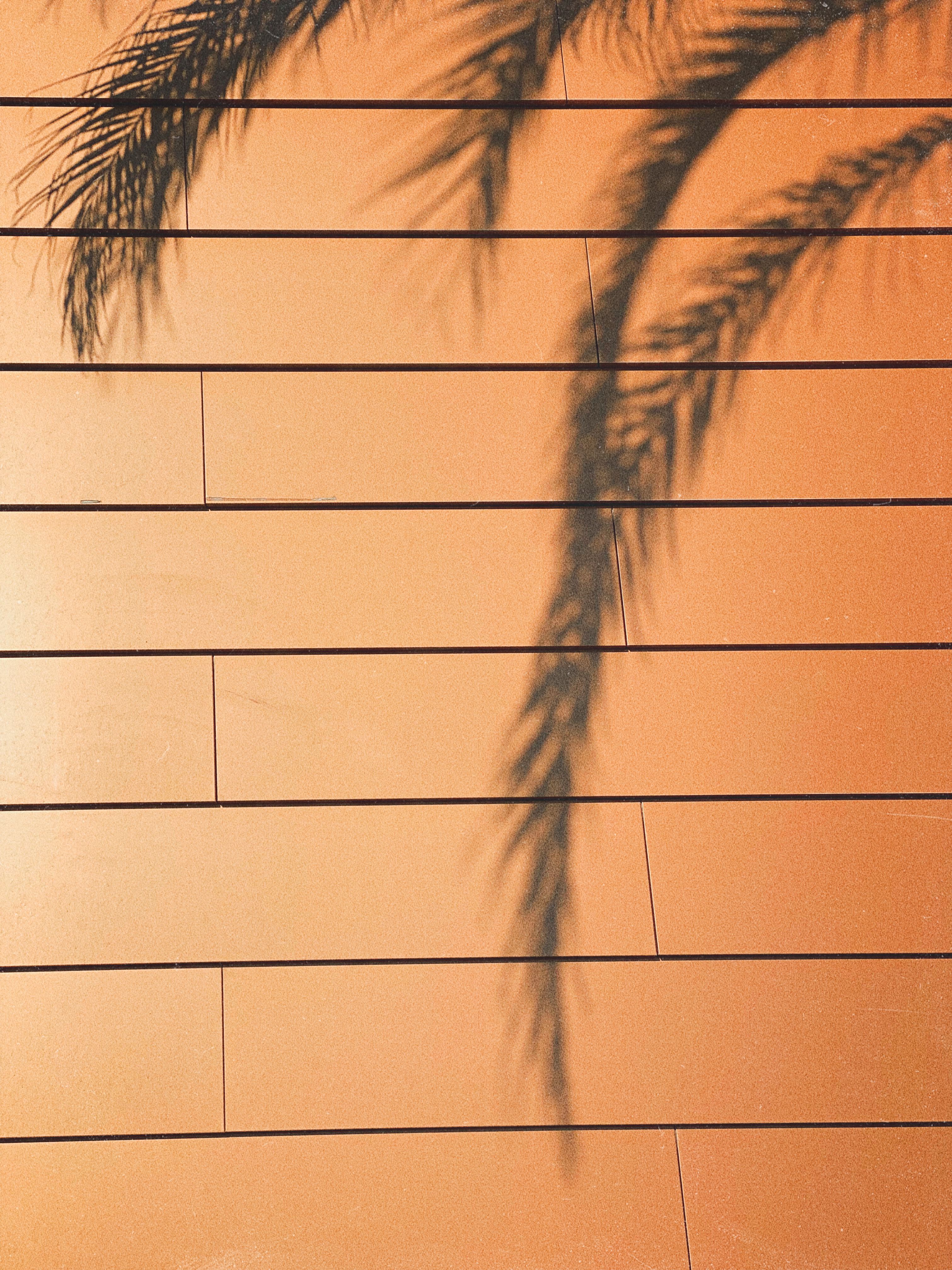 Orange brick wall with shadow of palm tree leaves and branches in sunlight of daytime