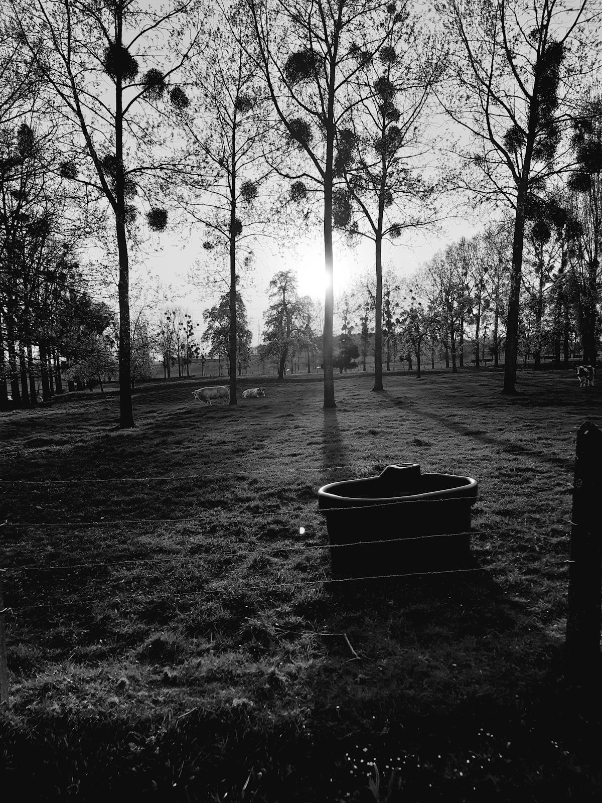 Parent comforting a sick teenager resting on the couch