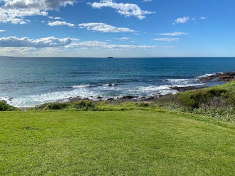 Discover the tranquility of the NSW coastline with lush greenery and serene sea views.