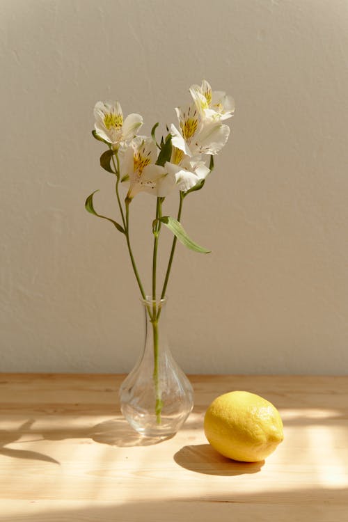 Fotos de stock gratuitas de florero de vidrio, Flores blancas, limón